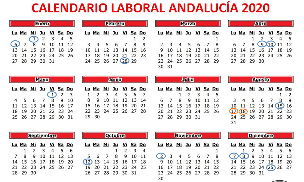 Ver imagen